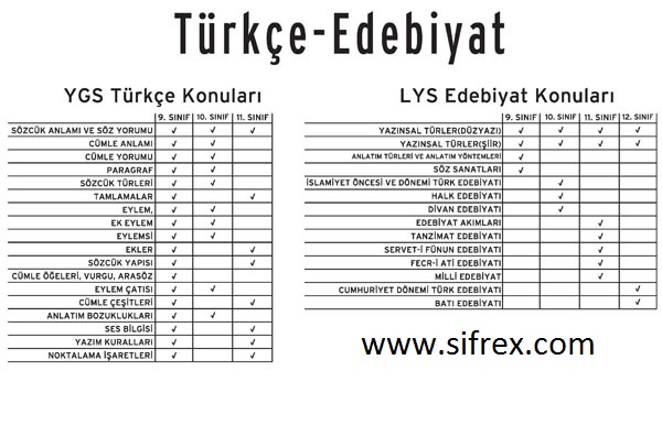 lys soruları